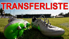 Alle Transfers des Winters