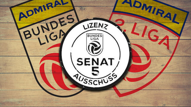 Diese Vereine wollen in die 2. Liga rauf