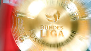 So funktioniert das Liga-Format