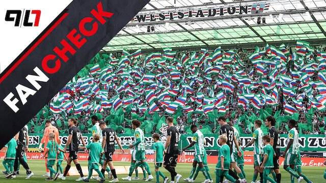 Fan-Check KW33: Rapid mit Respektabstand voran