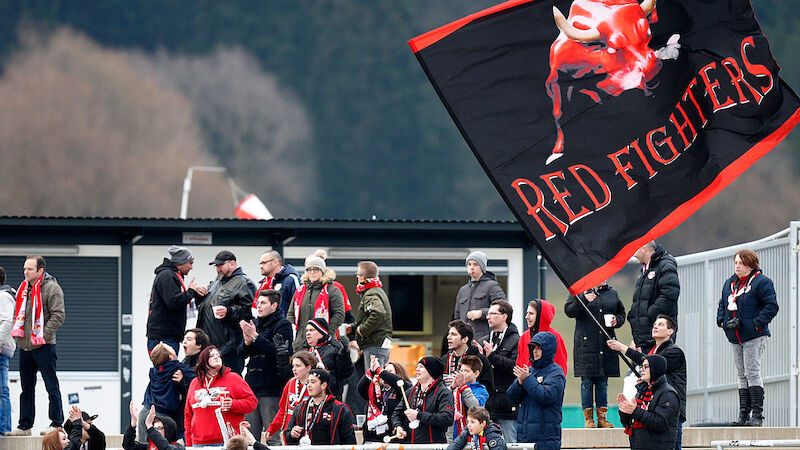 Slideshow Bild
