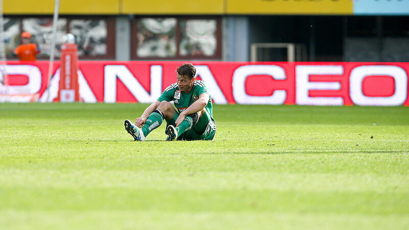 Slideshow Bild