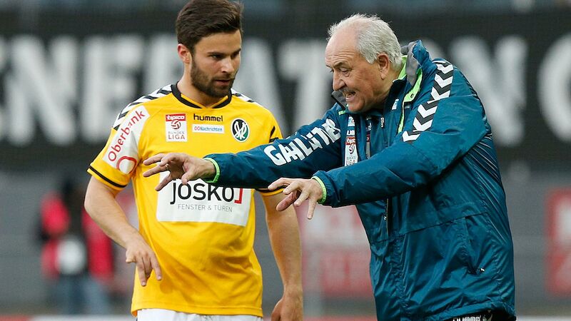 Slideshow Bild