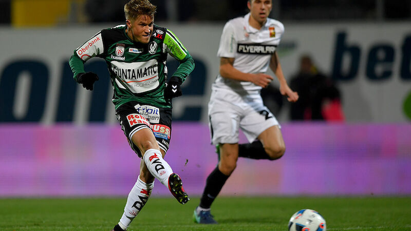 Slideshow Bild