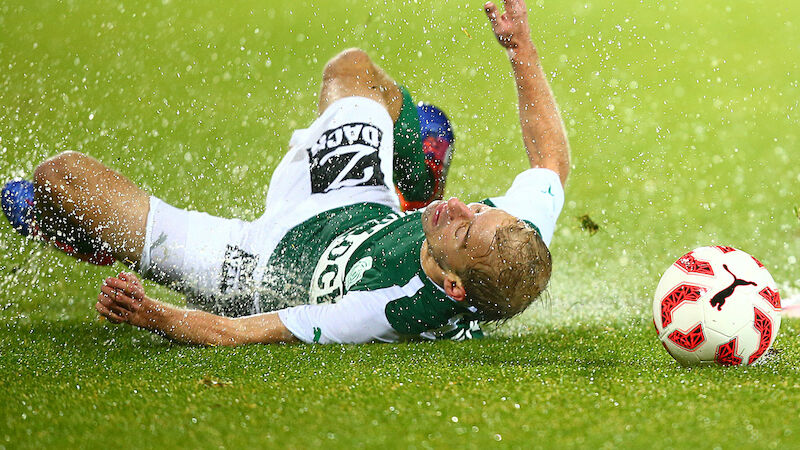 Slideshow Bild