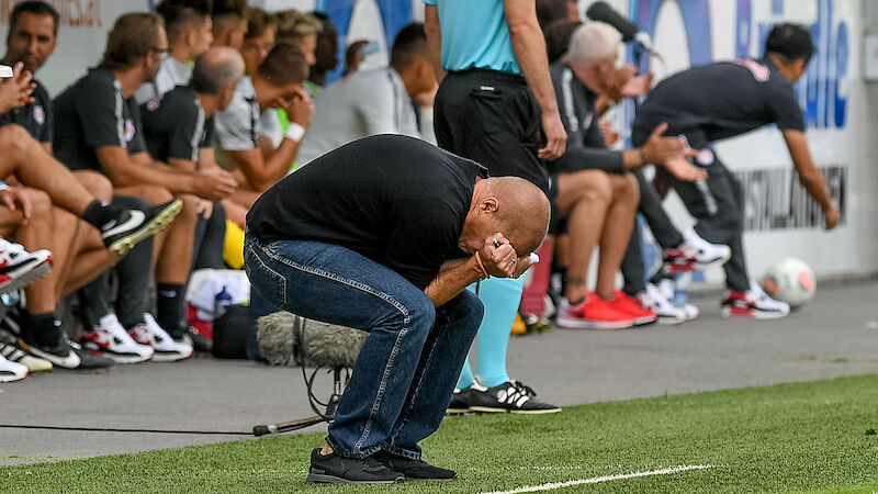 Slideshow Bild