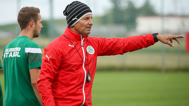 Mattersburg sucht Verstärkung