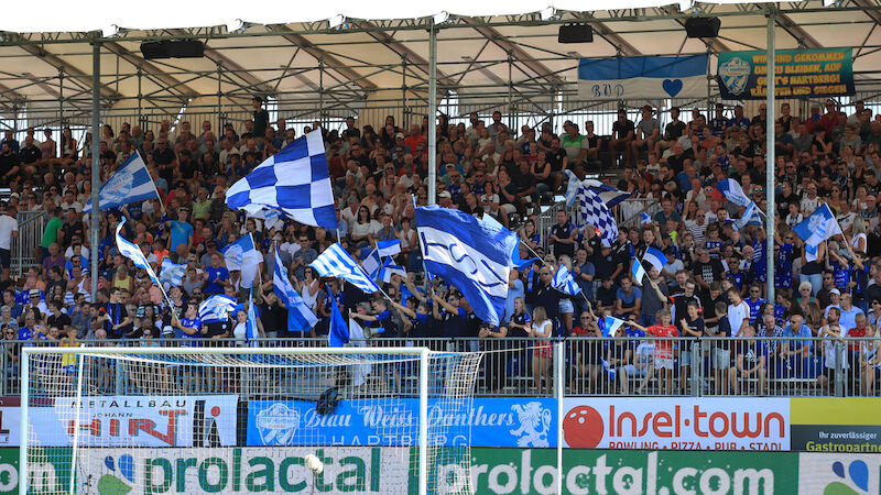 Slideshow Bild