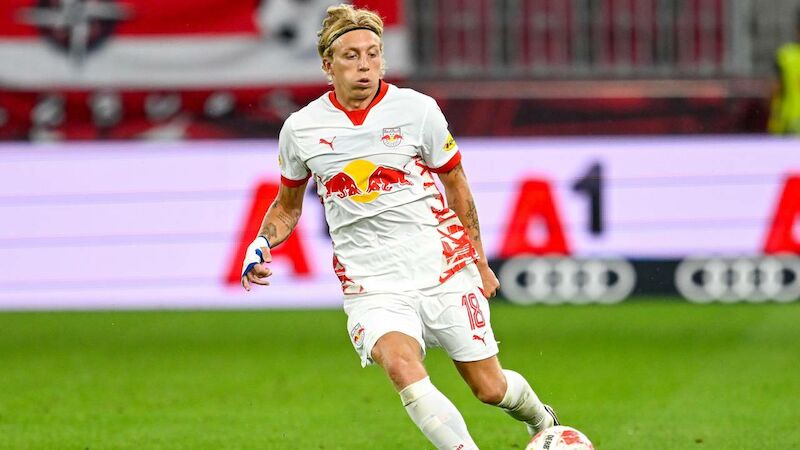 FC Red Bull Salzburg: 94,95 €