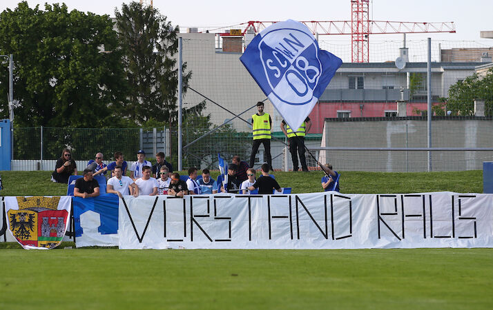 SC Wiener Neustadt (2019)