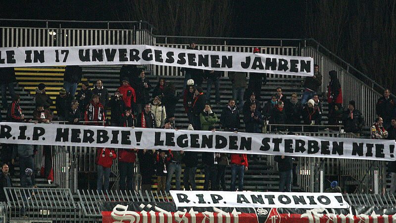 Slideshow Bild