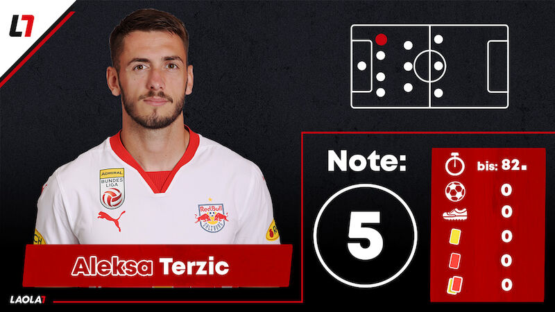 Aleksa Terzic