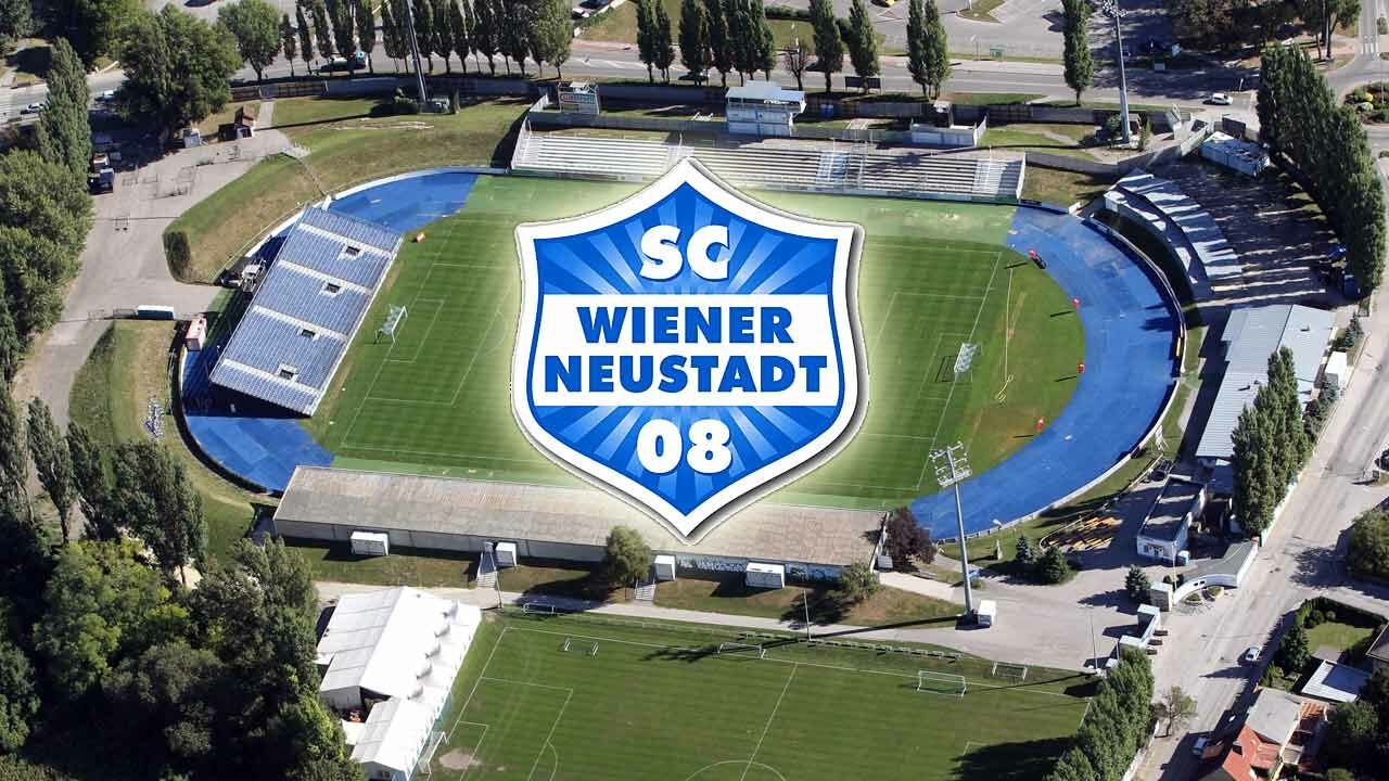 "TeddybÃ¤ren & PlÃ¼sch Stadion" in Wiener Neustadt