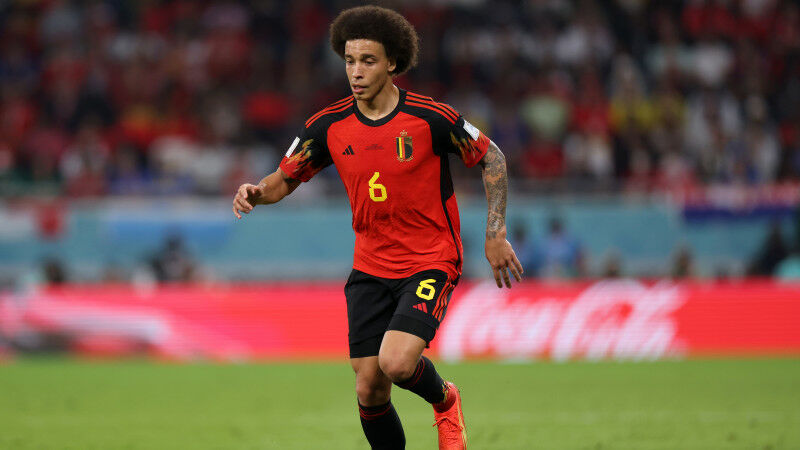 Axel Witsel (35)