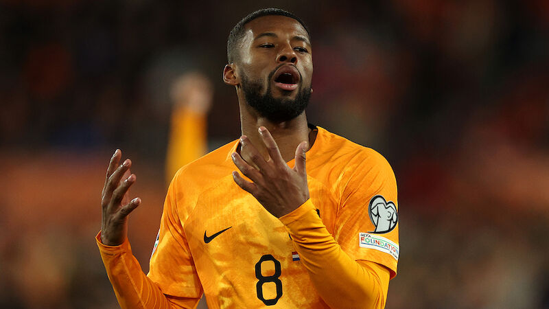 Georginio Wijnaldum (33)