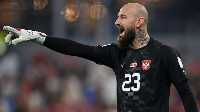 Vanja Milinković-Savić (27)
