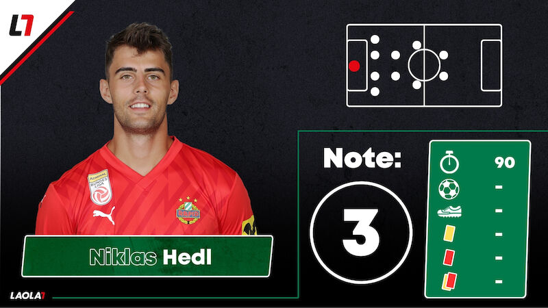 Niklas Hedl