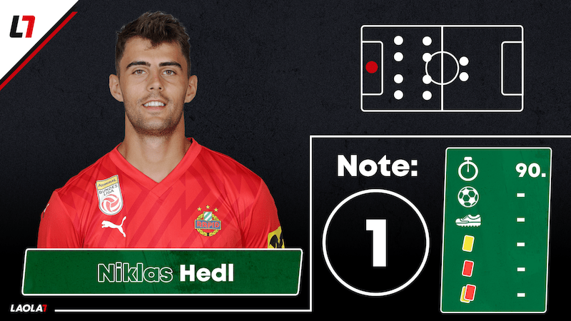 Niklas Hedl