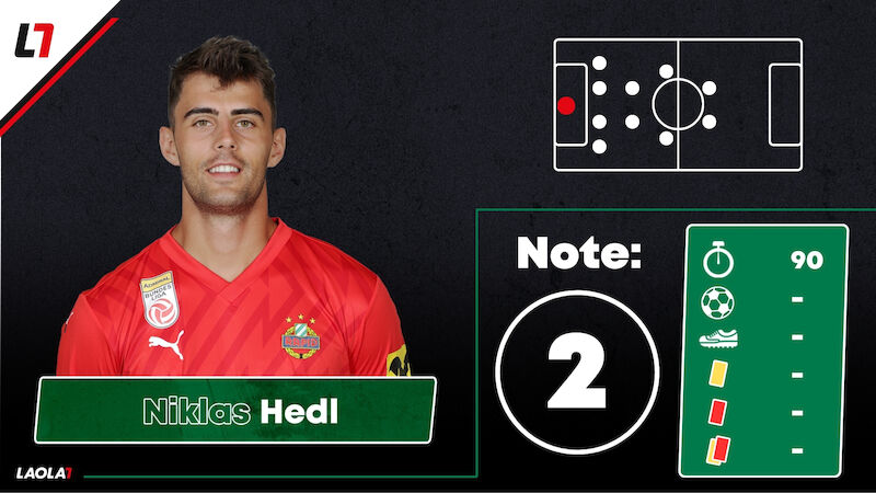 Niklas Hedl
