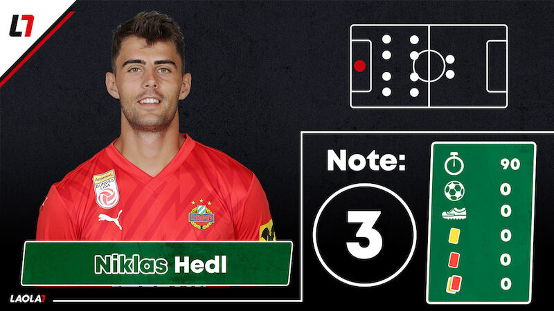 Niklas Hedl