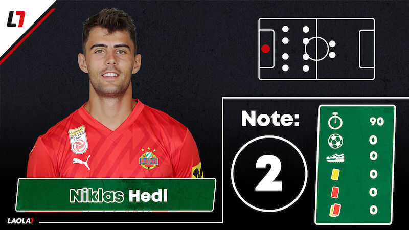 Niklas Hedl
