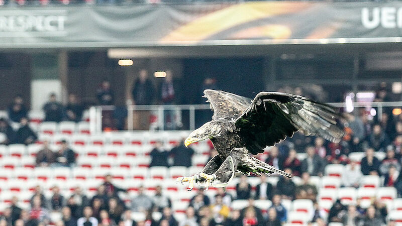 Slideshow Bild