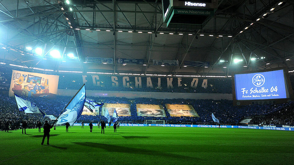 Der Europa-League-Kader von Schalke 04