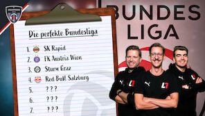 Was wäre wenn: Wie sieht die perfekte Bundesliga aus?