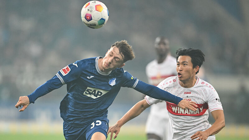 Tim Drexler (Hoffenheim/19)