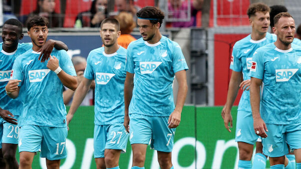 Ex-Austrianer schießt Ilzers TSG zu Sieg in Leverkusen