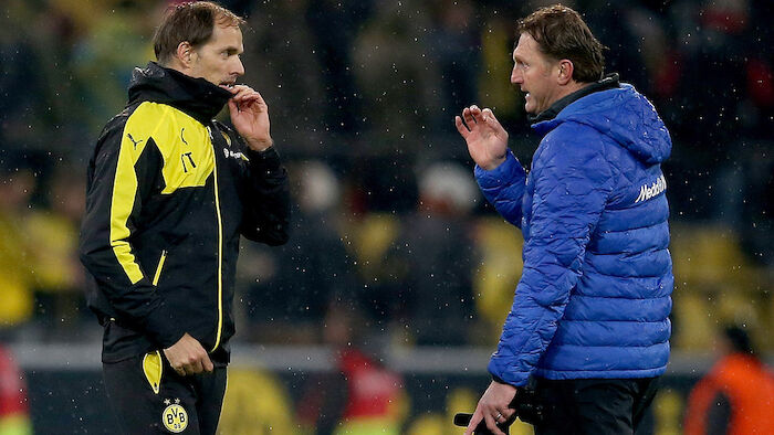 Bvb Hasenhüttl Bvb Hasenhüttl
