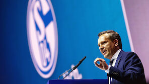 Schalke: 16,86 Mio. für Berater