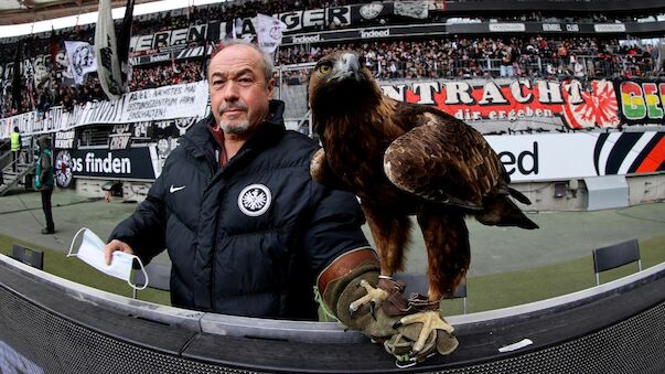 Nach PETA-Forderung: Stadionverbot für den Eintracht-Adler?