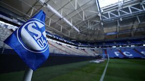 Ein Höjlund für den FC Schalke 04