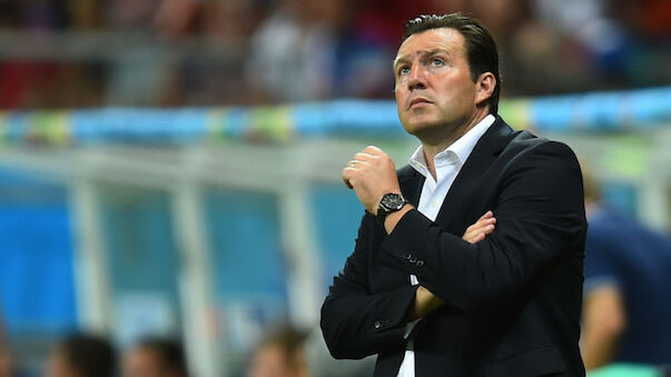 Wilmots wird Sportdirektor auf Schalke