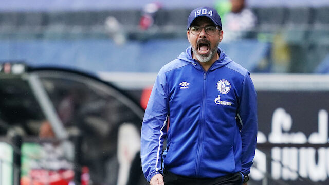 Schalke-Cheftrainer Wagner erhält Jobgarantie