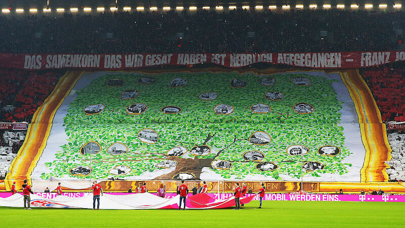 Slideshow Bild