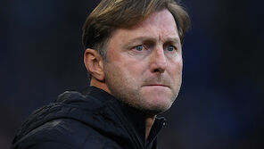 Hasenhüttl: 