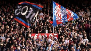 Zwei Fans wollen Anteile an Glasners Crystal Palace kaufen