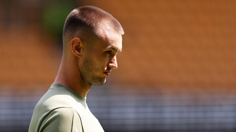 Sasa Kalajdzic - Wolverhampton Wanderers