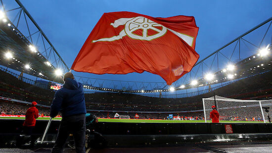 Premier-League-Klub Arsenal kämpft mit Mäuseplage