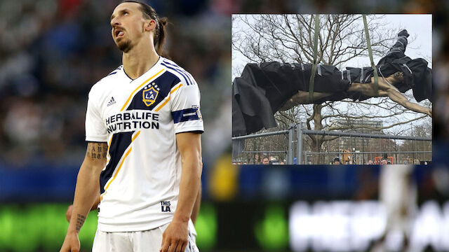 Vandalismus: Ibrahimovic-Statue endgültig entfernt