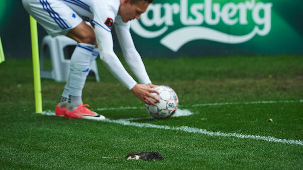 Fans bewerfen Spieler mit toten Ratten