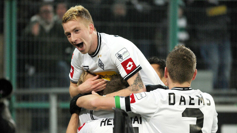 Als "Fohle" zum Bundesliga-Star gereift