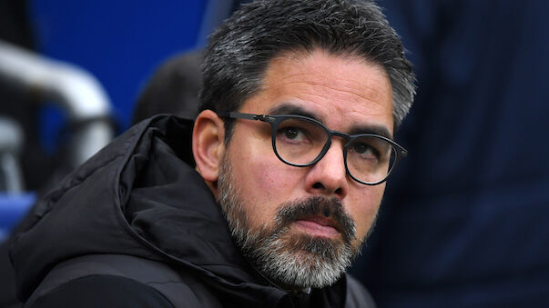 David Wagner wird neuer Schalke-Trainer