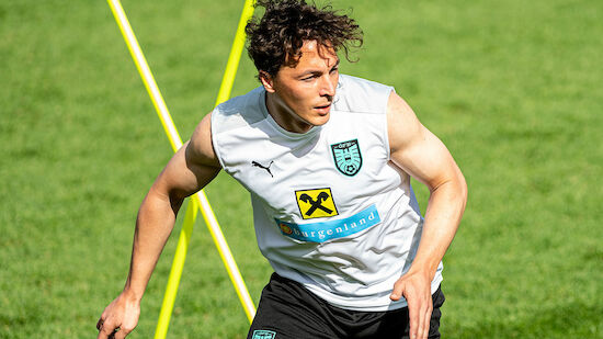 Baumgartlinger ist
