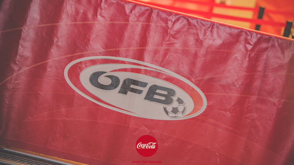 Fan-Bilder vom WM-Quali-Spiel Österreich vs. Moldawien