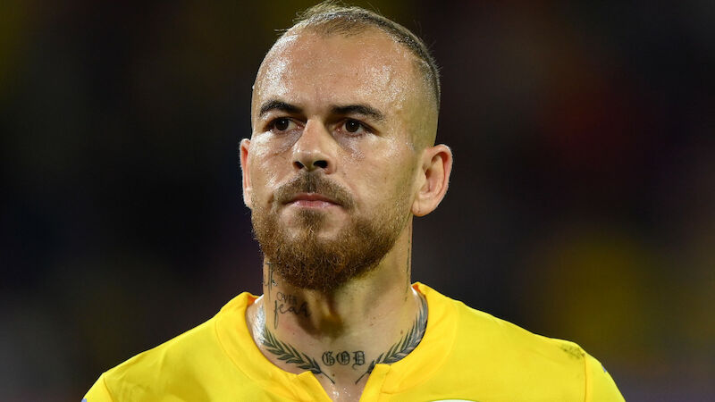 Denis Alibec (34)