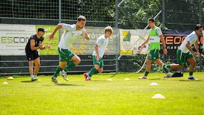 Keine Fixaufsteiger in LigaZwa? Regionalliga-Reform steht an