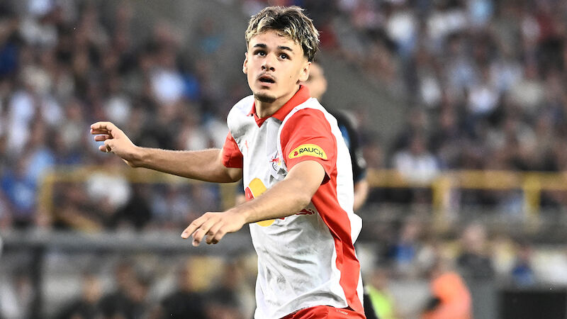 Kerim Alajbegovic (17)